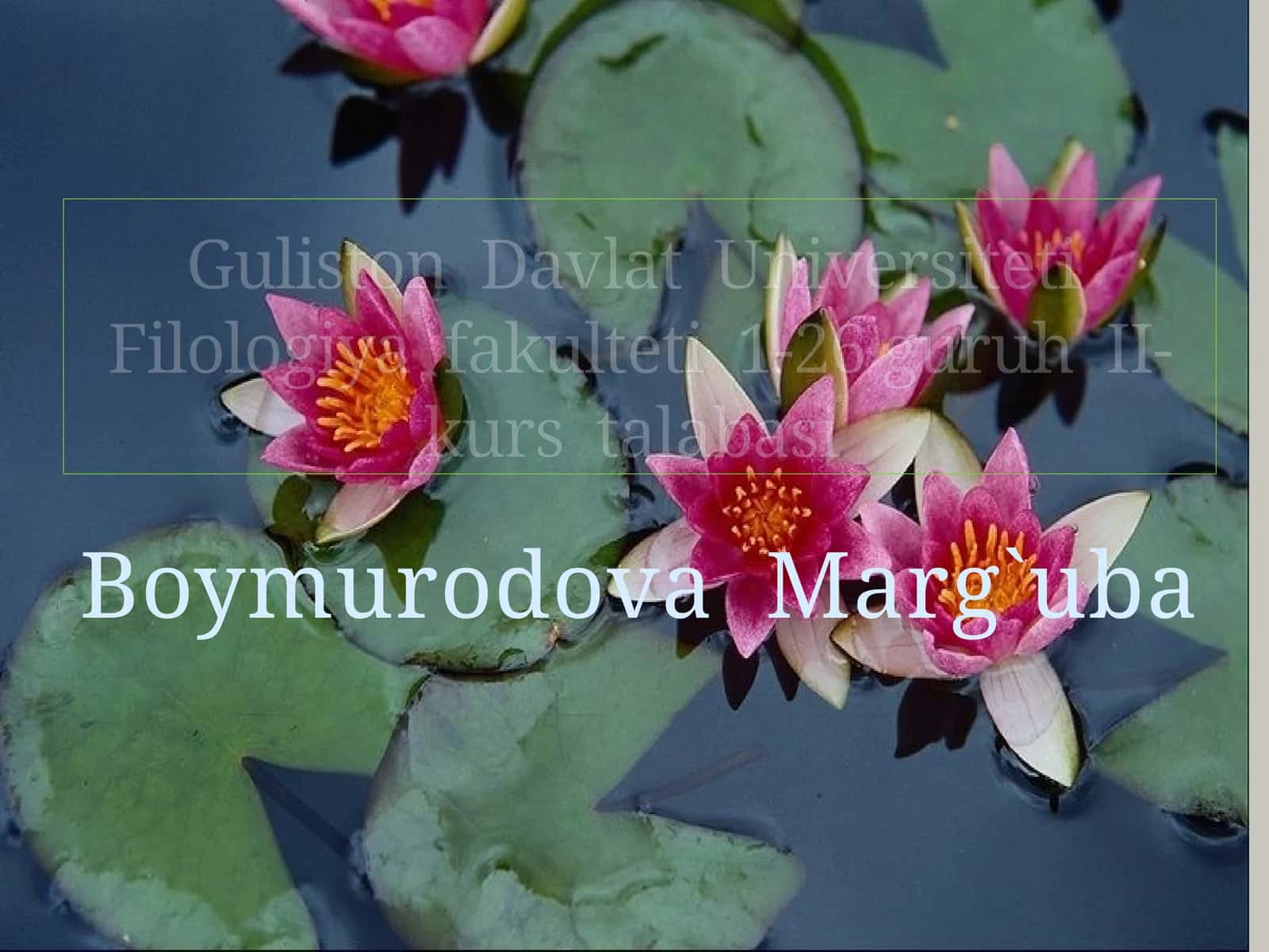 8-sinf Adabiyot Alisher Navoiy ruboiylar mavzuda dars taqdimot