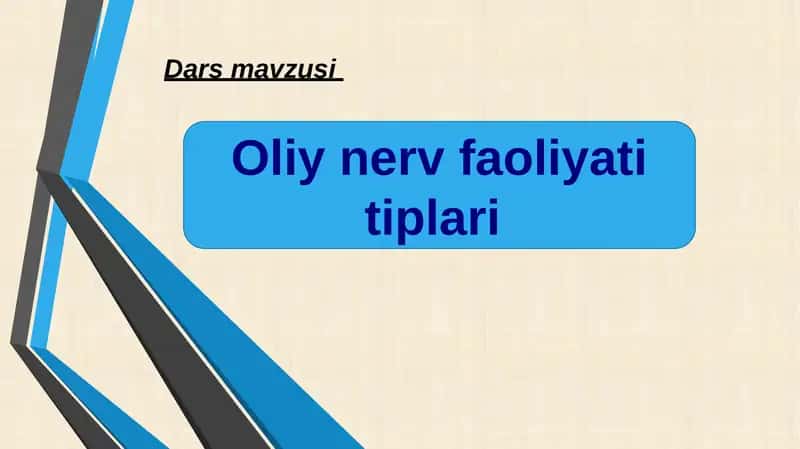 Oliy nerv faoliyati tiplari