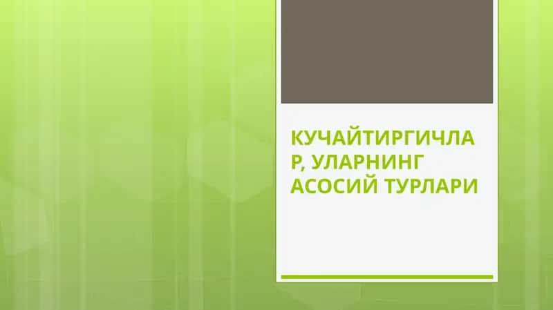 Кучайтиргичлар