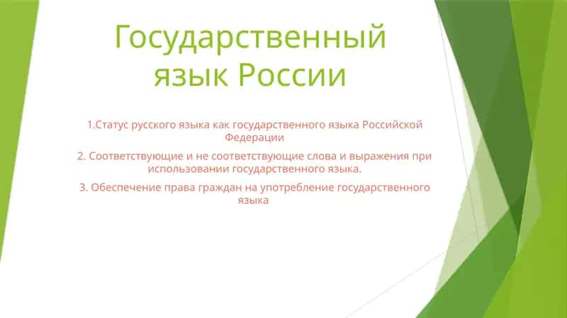 Государственный язык России