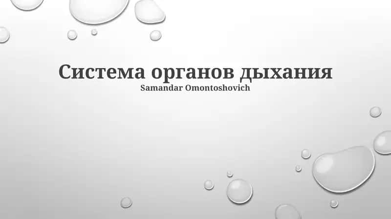 Система органов дыхания