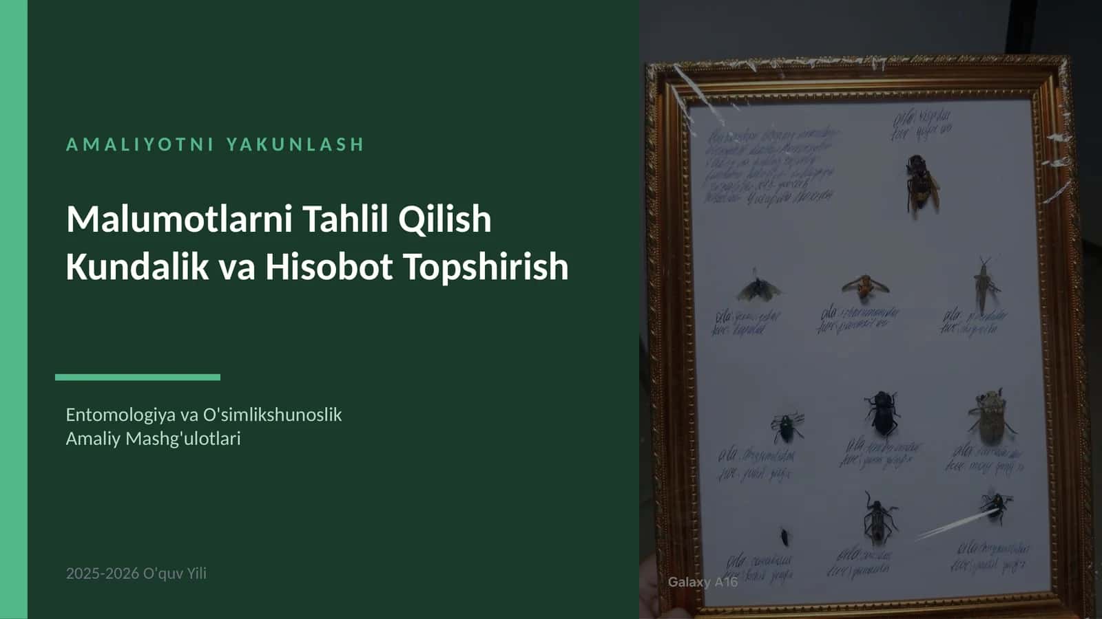 AMALIYOTNI YAKUNLASH