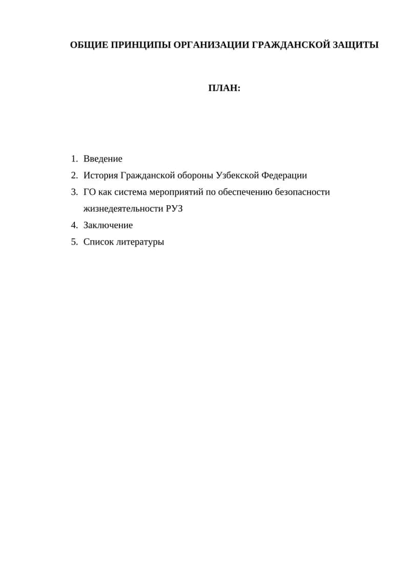 ОБЩИЕ ПРИНЦИПЫ ОРГАНИЗАЦИИ ГРАЖДАНСКОЙ ЗАЩИТЫ