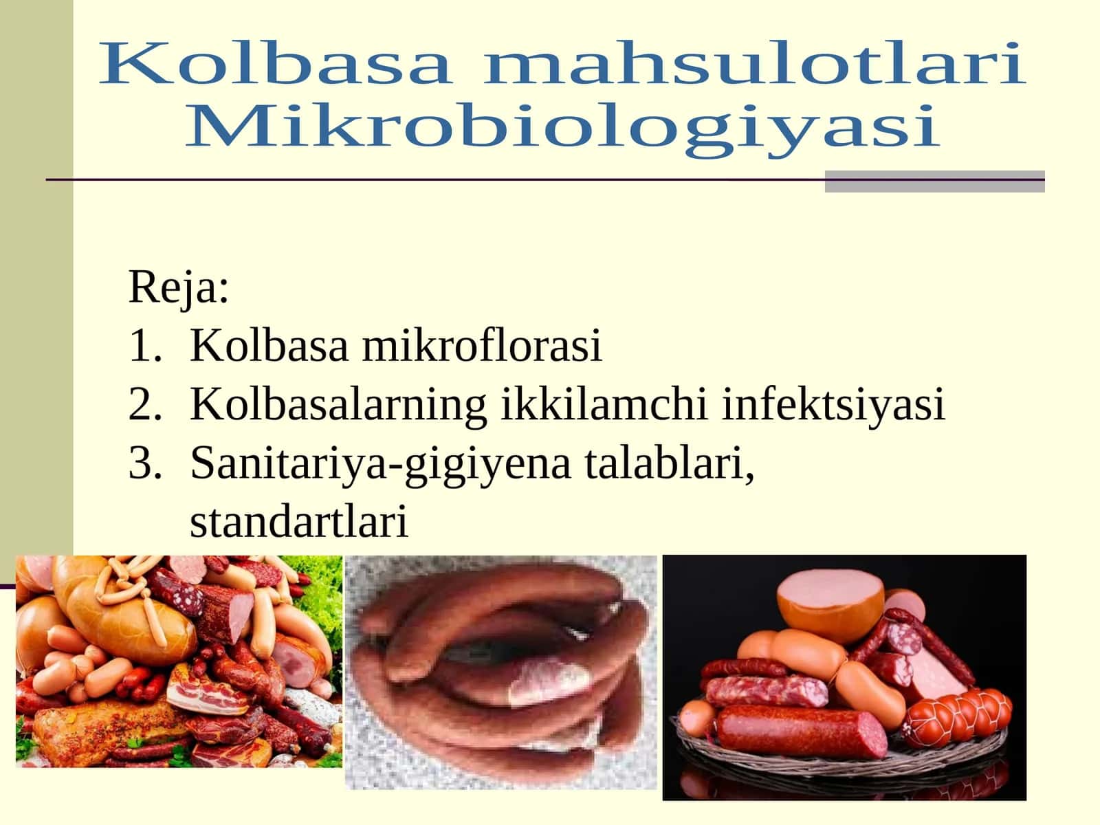 Kolbasa mahsulotlari Mikrobiologiyasi