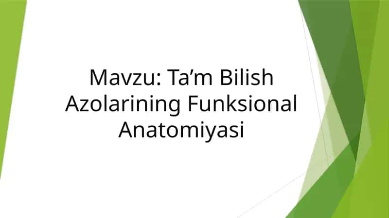 Ta’m Bilish Azolarining Funksional Anatomiyasi