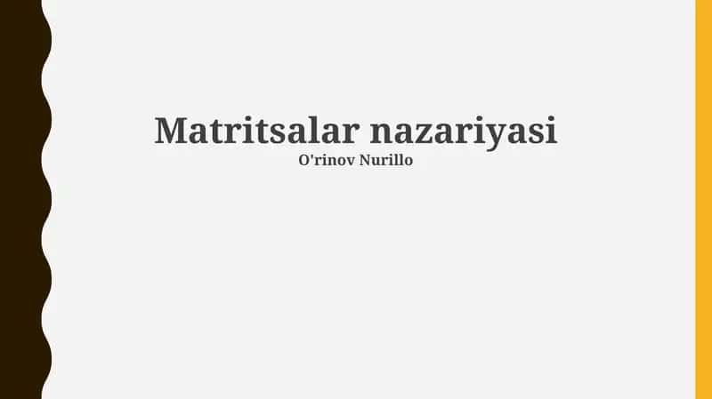 Matritsalar nazariyasi