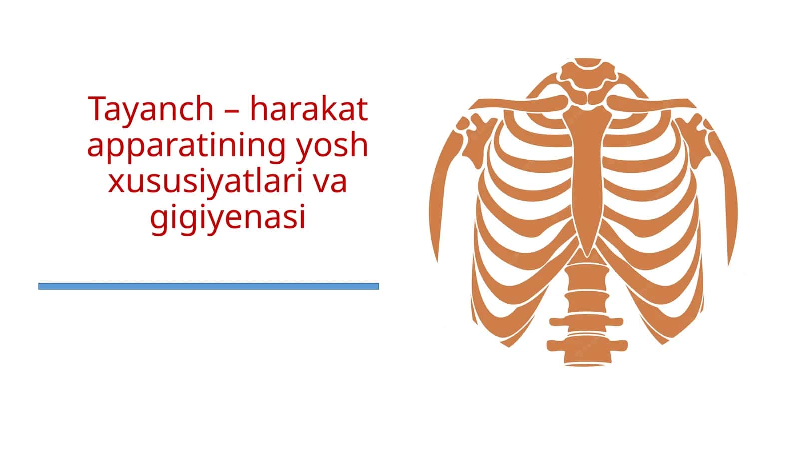 Tayanch - harakat apparatining yosh xususiyatlari va gigiyenasi