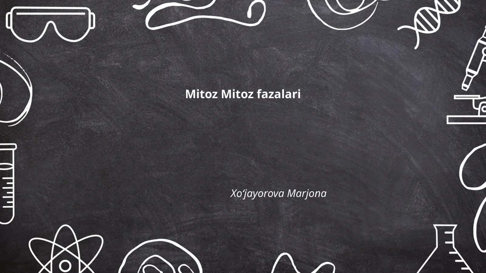 Mitoz Mitoz fazalari