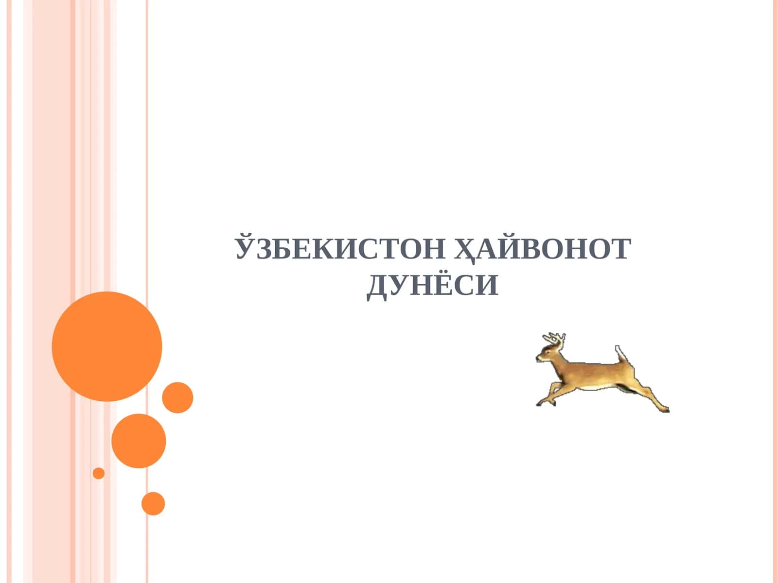 ЎЗБЕКИСТОН ҲАЙВОНОТ ДУНЁСИ