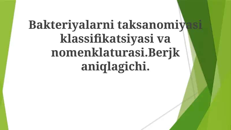 Bergey qo'llanmasi
