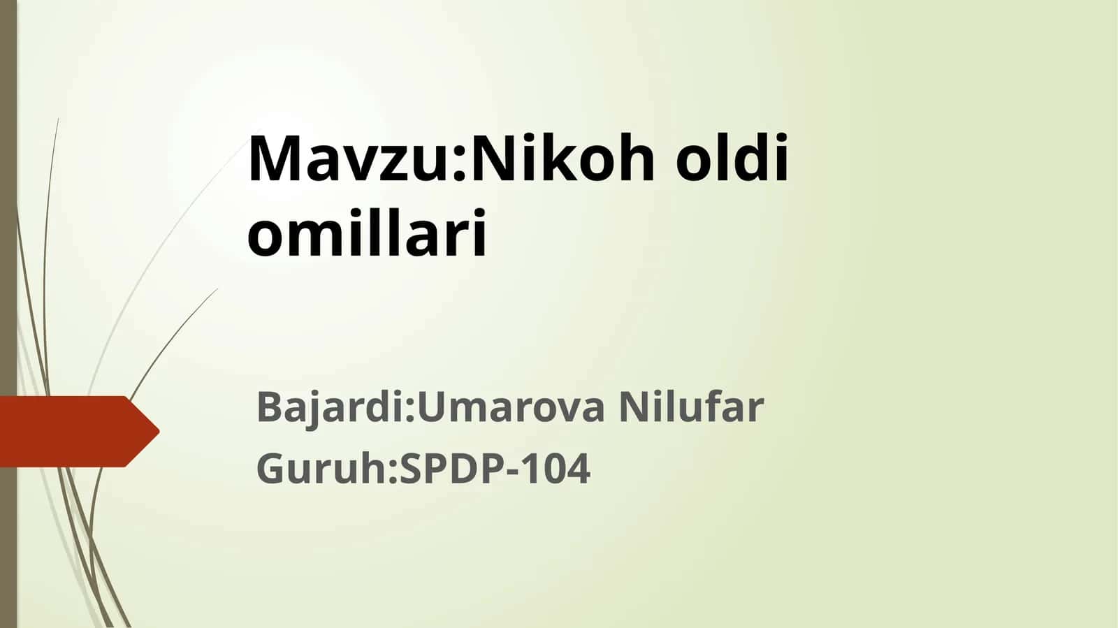 Nikoh oldi omillari