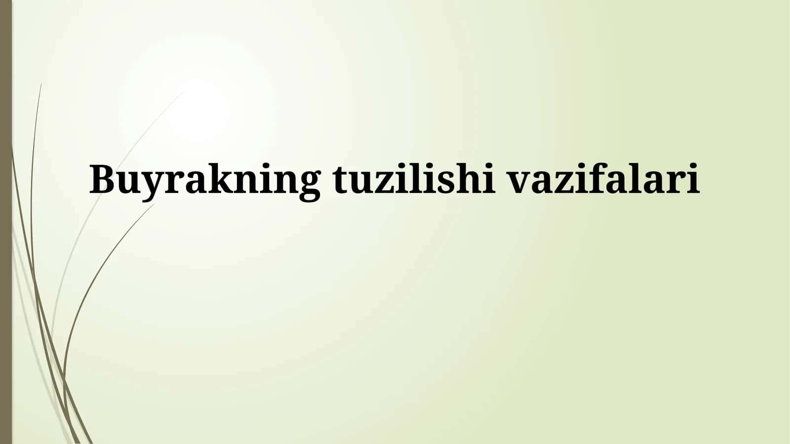 Buyrakning tuzilishi va vazifalari