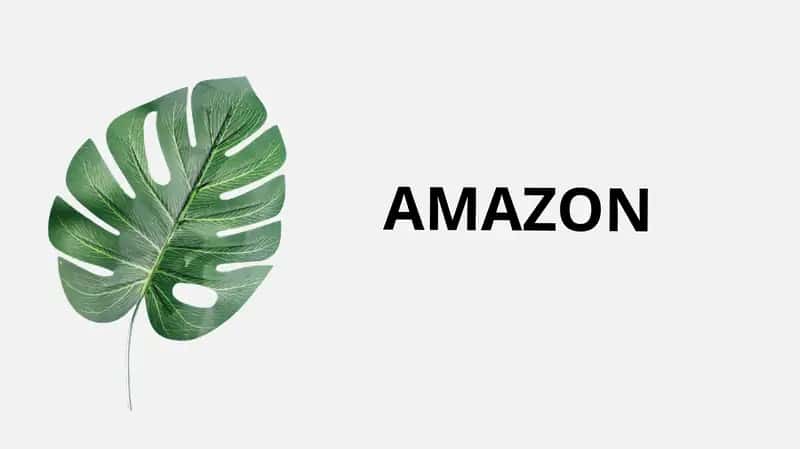 Amazon