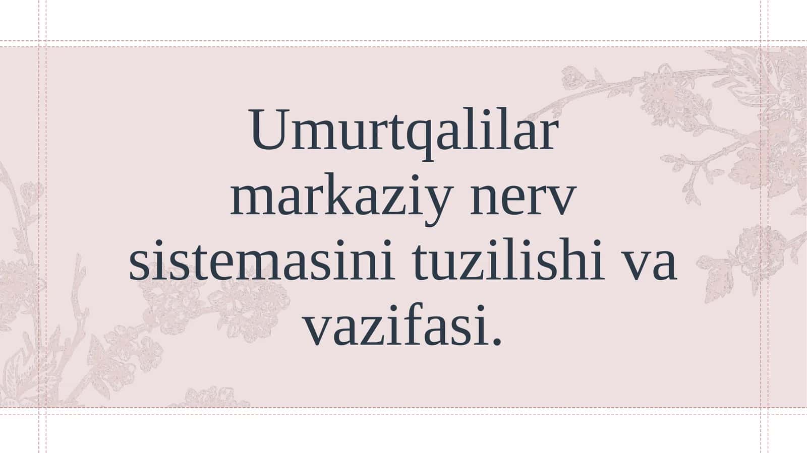 Umurtqalilar markaziy nerv sistemasini tuzilishi va vazifasi.