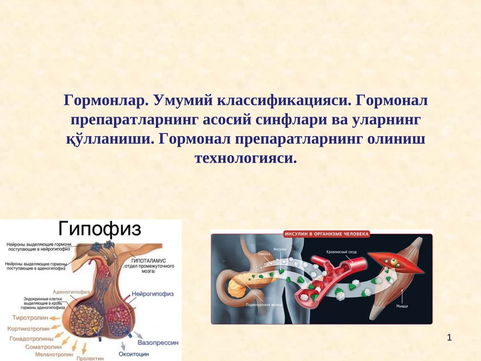 Гормонлар. Умумий классификацияси,Гормонал препаратларнинг асосий синфлари ва уларнинг қўлланиши