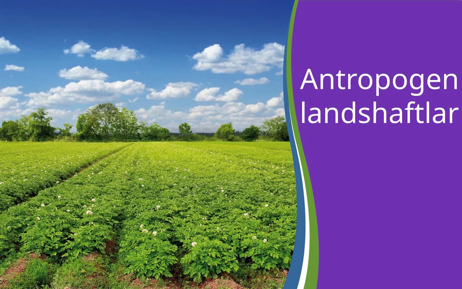Antropogen landshaftlar