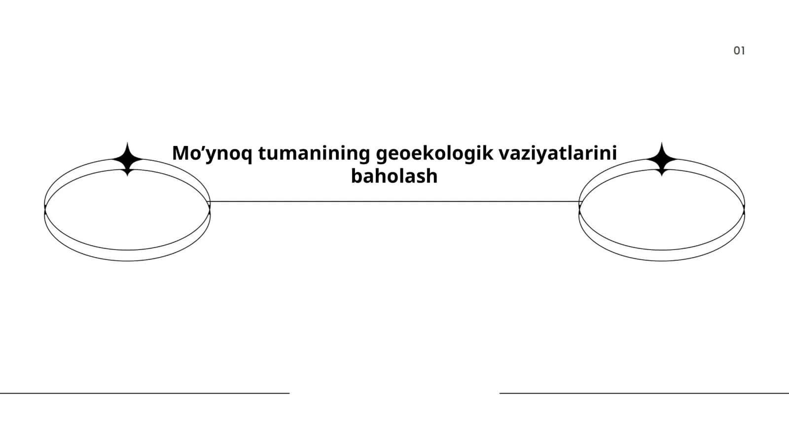 Mo’ynoq tumanining geoekologik vaziyatlarini baholash