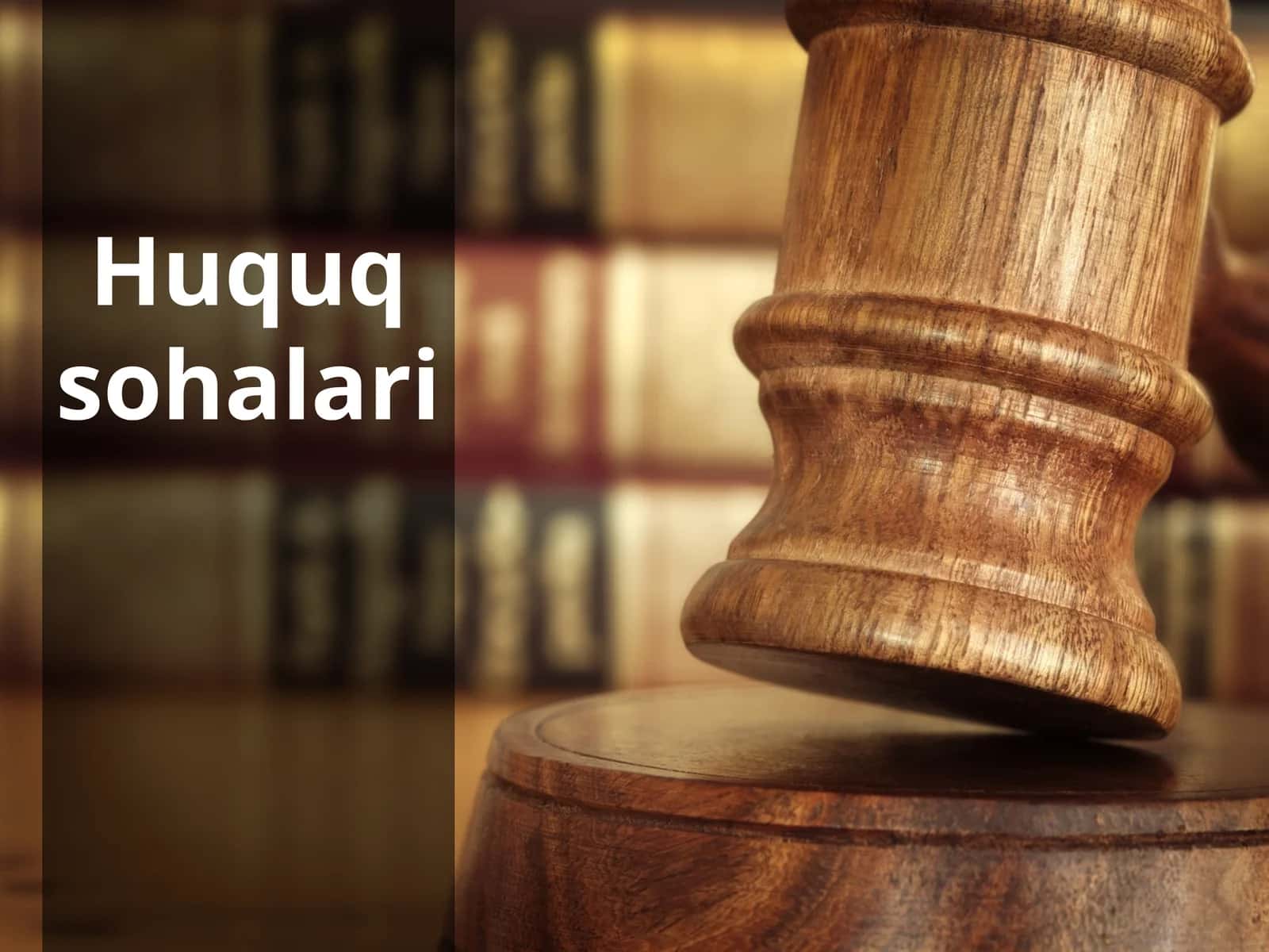 8-sinf Huquq fanidan dars ishlanma. Huquq sohalari