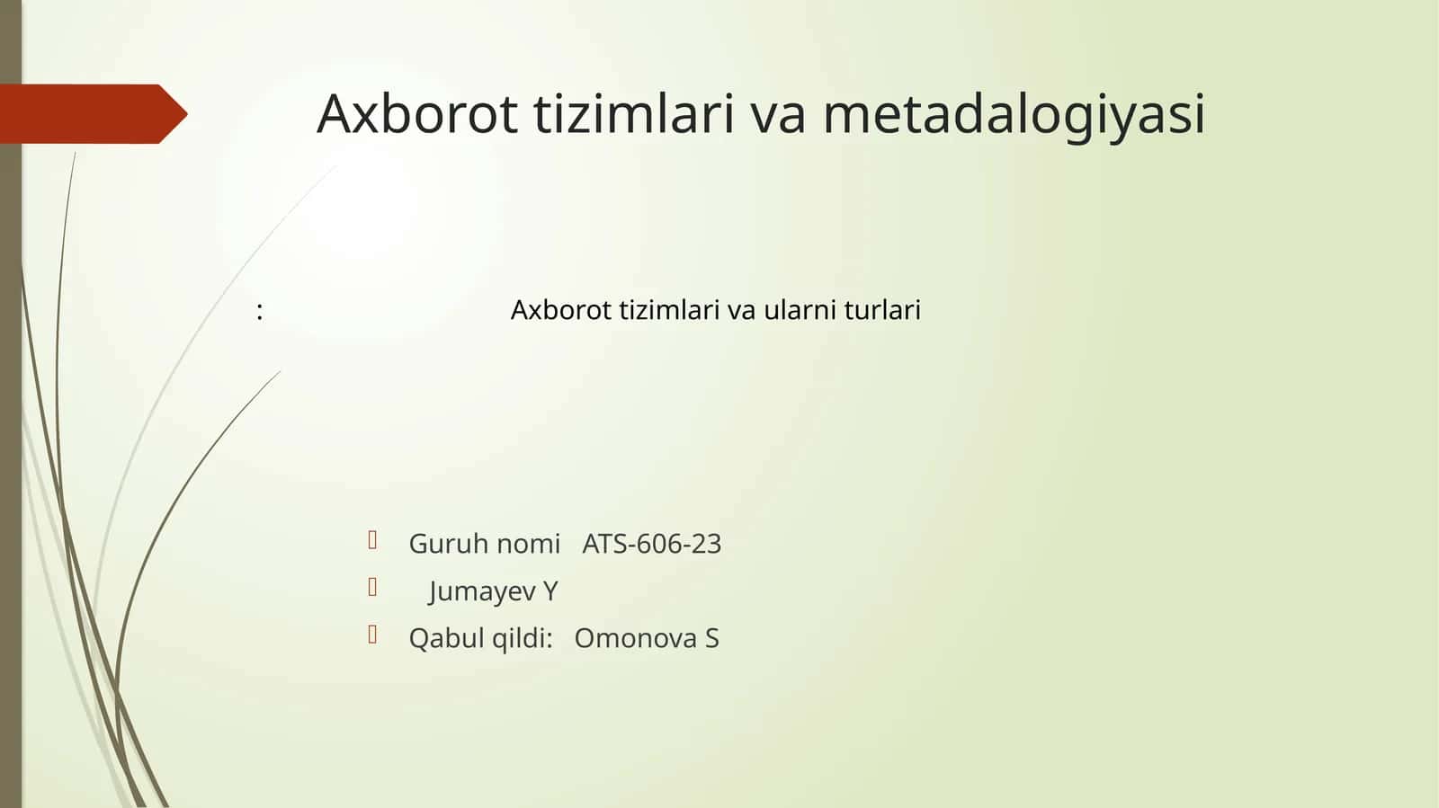Axborot tizimlari va metadalogiyasi