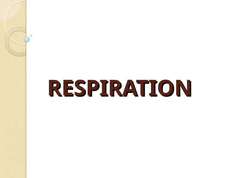 RESPIRATION
