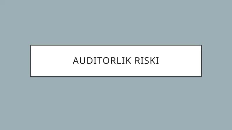 Auditorlik riski