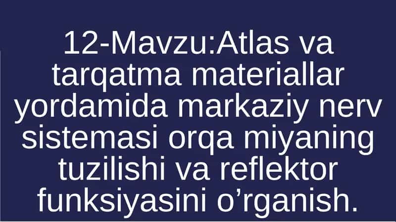 Atlas vatarqatmamateriallaryordamidamarkaziynervsistemasiorqamiyaningtuzilishivareflektorfunksiyasinio’rganish