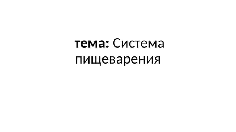 Система пищеварения