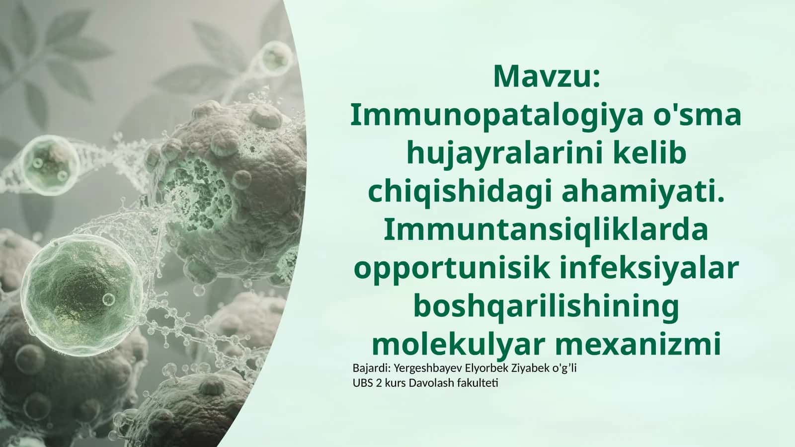 Immunopatologiya Tushunchasi va O'sma Hujayralari