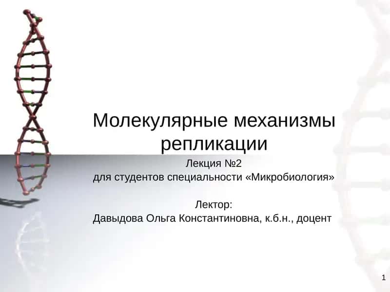 Молекулярные механизмы репликации