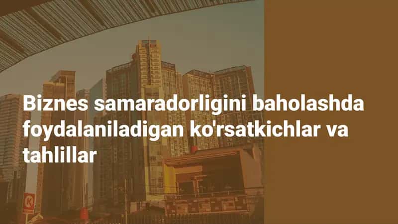 Biznes samaradorligini baholashda foydalaniladigan ko'rsatkichlar va tahlillar