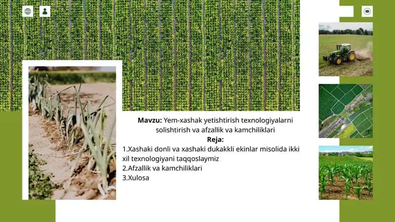Yem-xashak yetishtirish texnologiyalarni solishtirish va afzallik va kamchiliklari