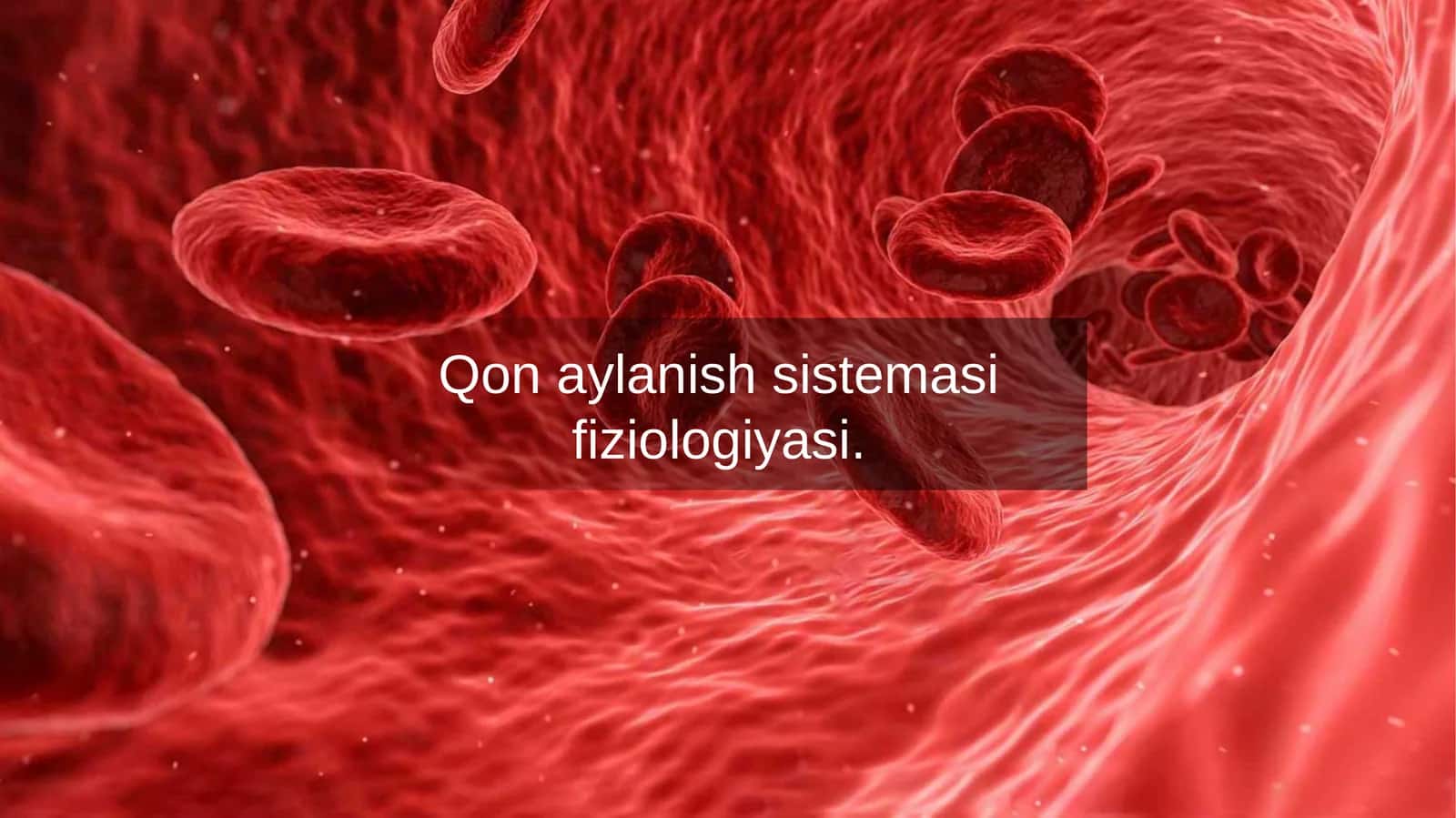 Qon aylanish sistemasi fiziologiyasi
