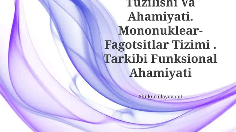 Mezenximaning Tuzilishi Va Ahamiyati