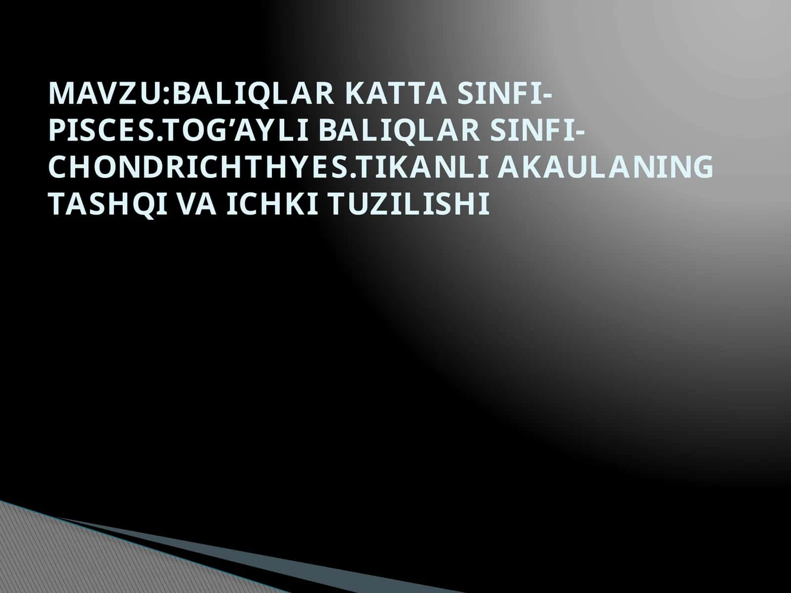 Tikanli Akaulaning Tashqi va Ichki Tuzilishi