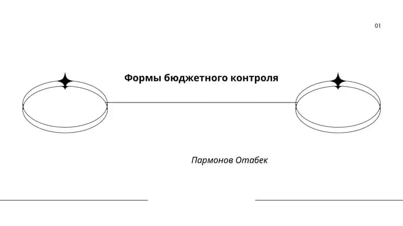 Формы бюджетного контроля