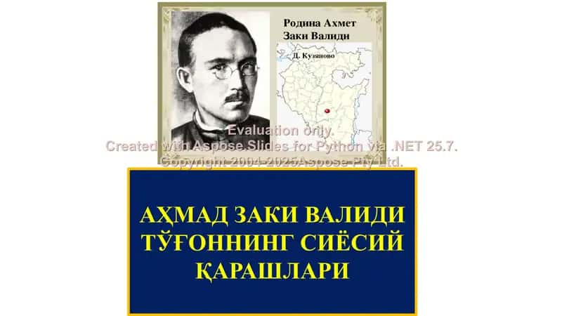 Ahmad Zaki Validi to'g'onning siyosiy qarashlari