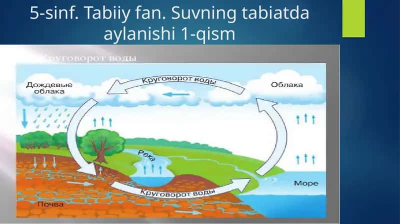 Yomg'ir suvining tabiatdagi aylanishi 1-qism