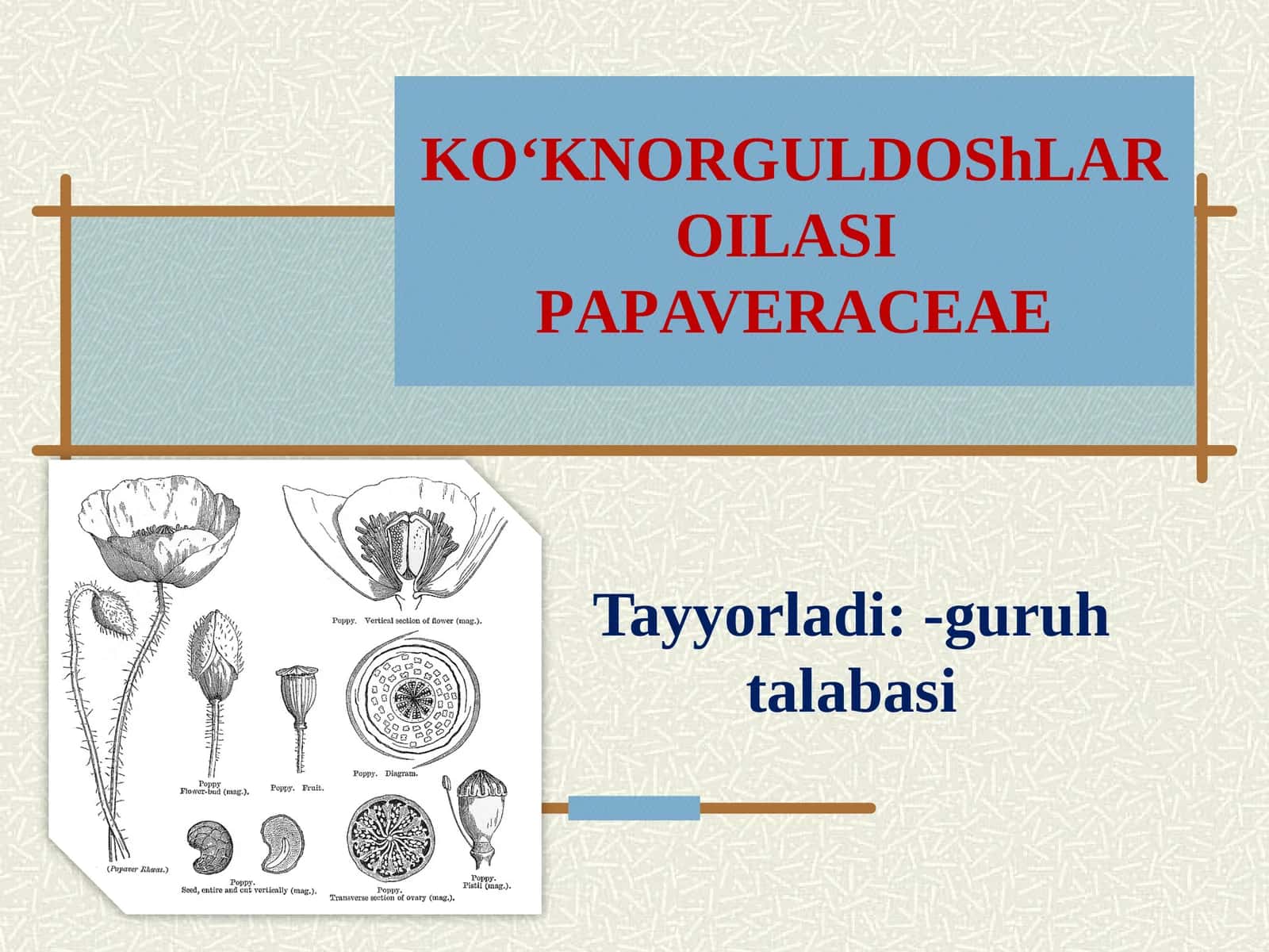 KO‘KNORGULDOShLAROILASI PAPAVERACEAE