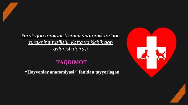 Yurak-qon tomirlar tizimini anatomik tarkibi. Yurakning tuzilishi. Katta va kichik qon aylanish doirasi