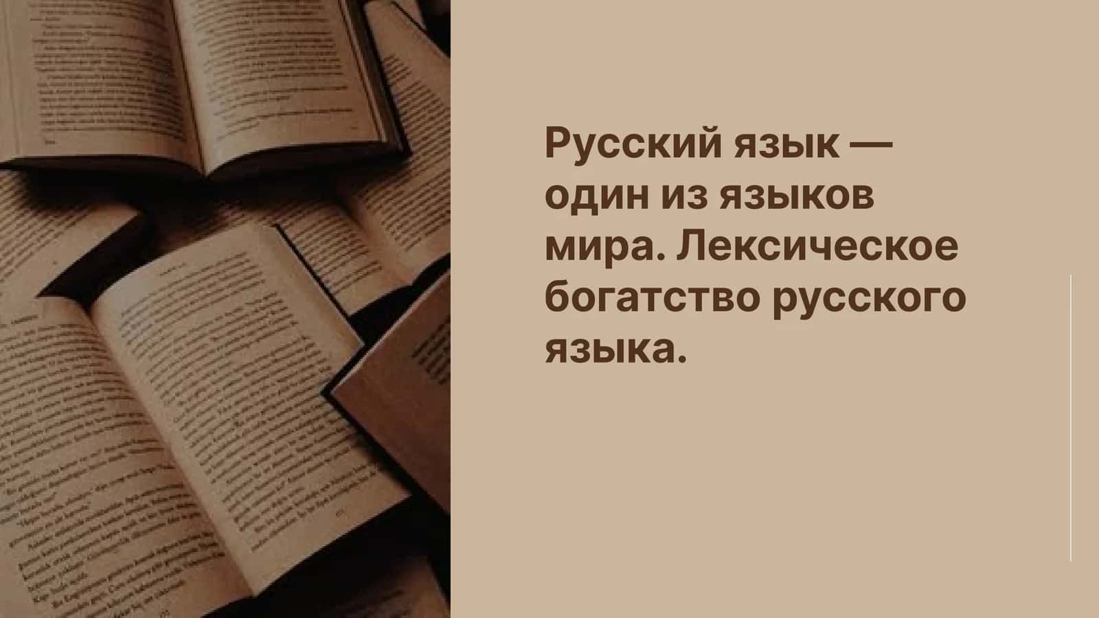 Русский язык — один из языков мира. Лексическое богатство русского языка.