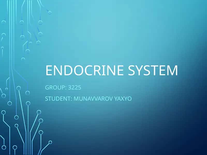 Endocrine System
