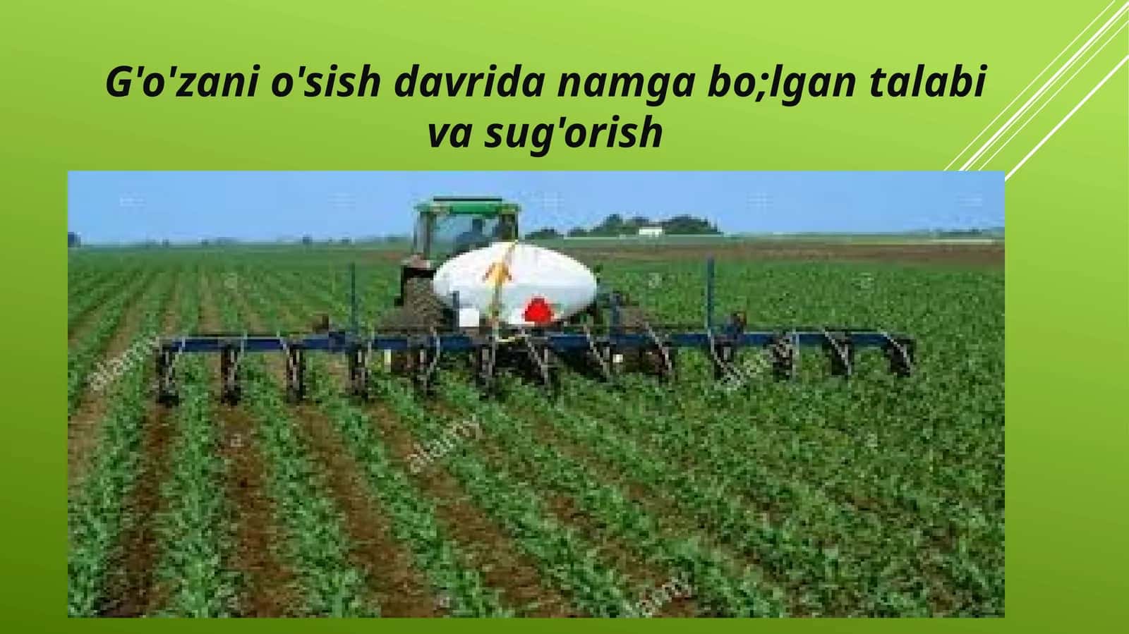 Gʻoʻzani sugʻorish va namga boʻlgan talabini