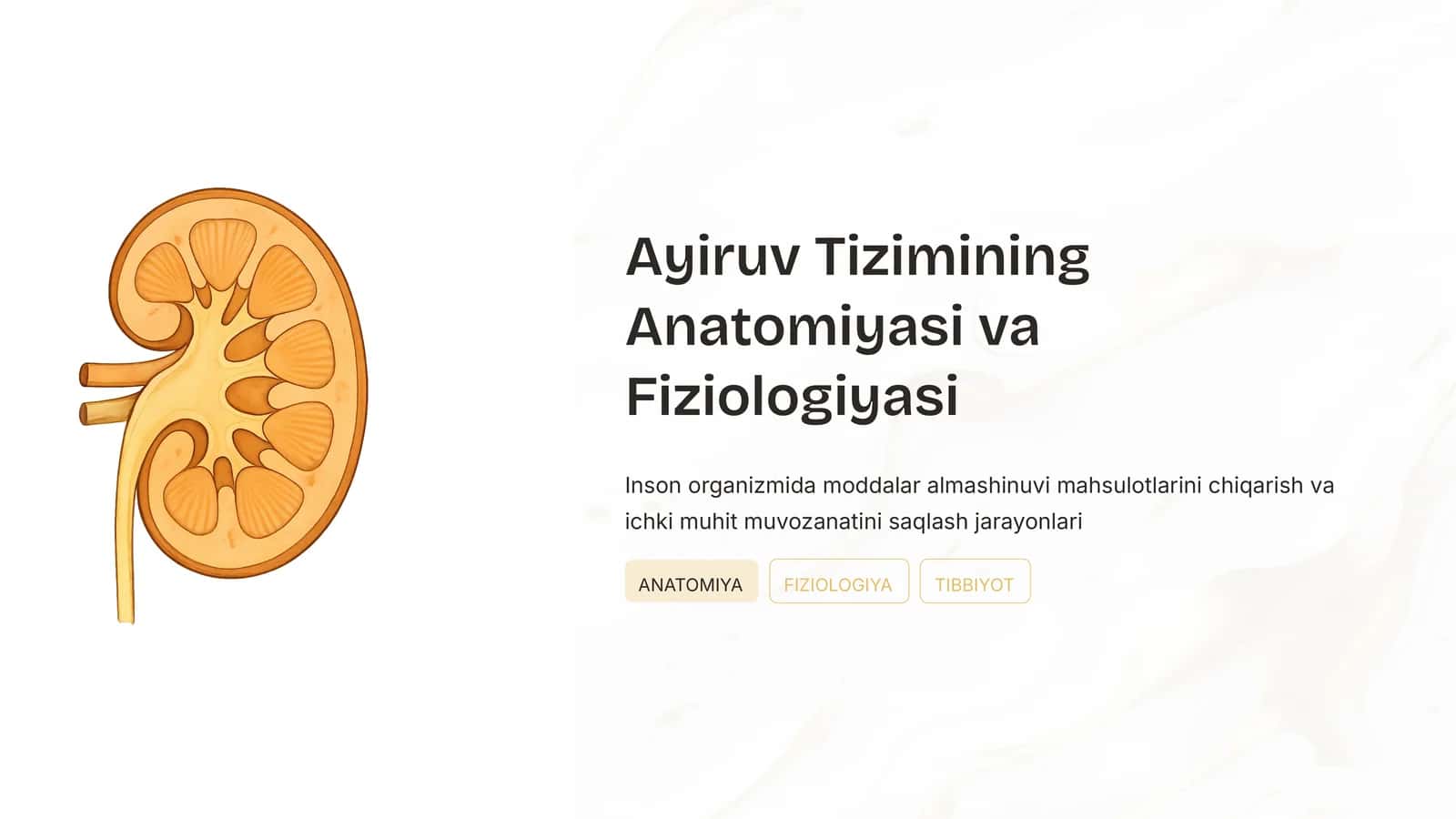 Ayiruv Tizimining Anatomiyasi va Fiziologiyasi