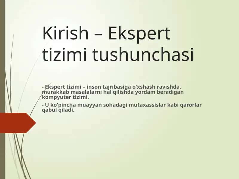 Ekspert tizimi