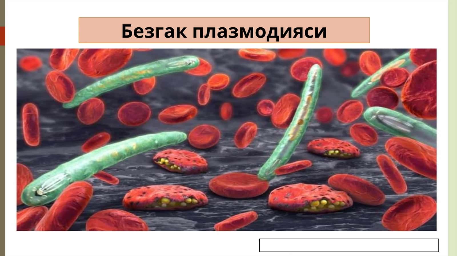 Безгакплазмодияси