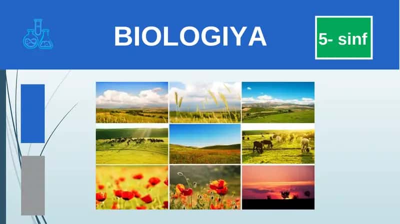 BIOLOGIYA 5- sinf O‘SIMLIK NOMINI TOPING?