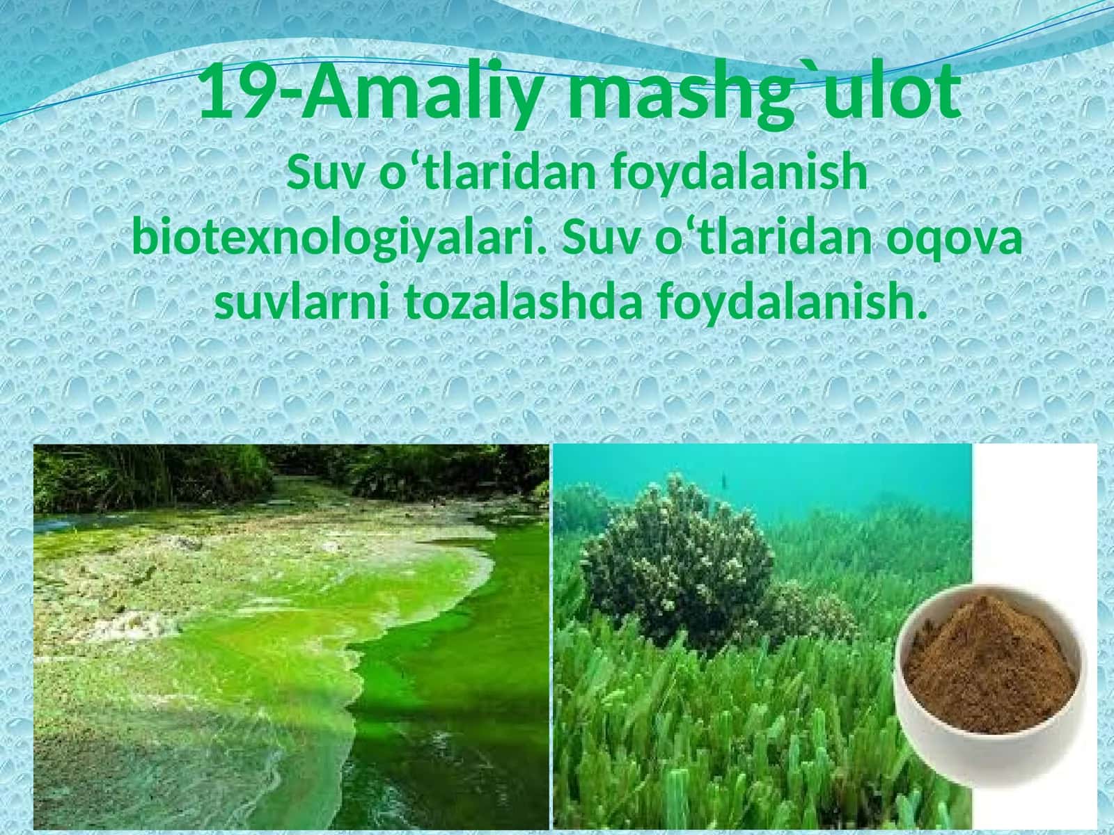 Suv o‘tlaridan foydalanish biotexnologiyalari. Suv o‘tlaridan oqova suvlarni tozalashda foydalanish
