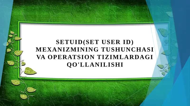 Setuid(Set User ID) mexanizmining tushunchasi va operatsion tizimlardagi qo'llanilishi.