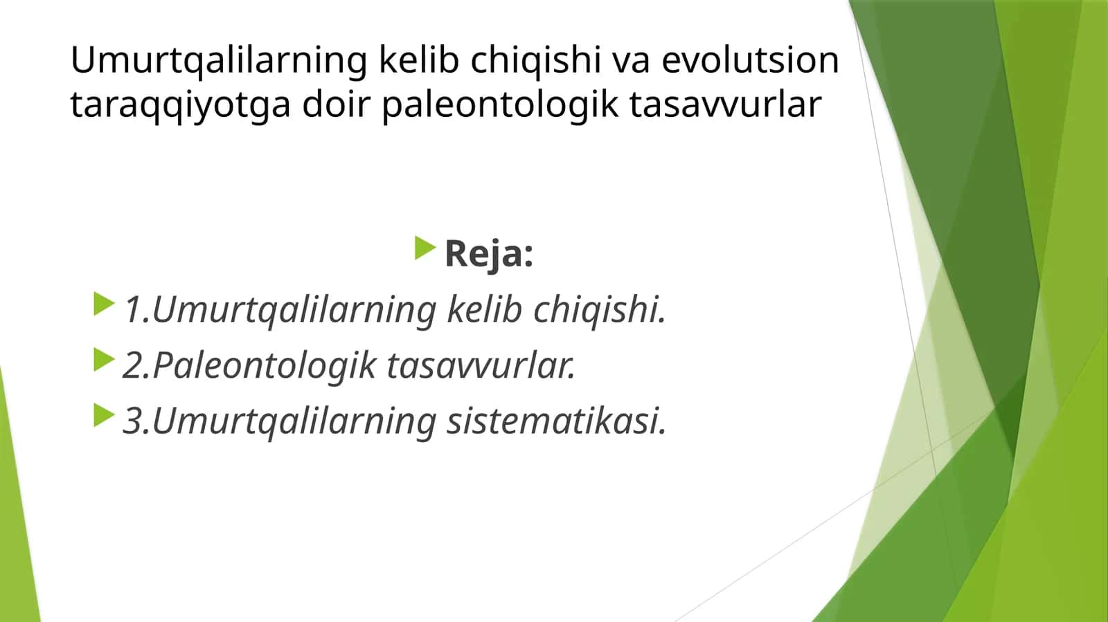 Umurtqalilarning kelib chiqishi