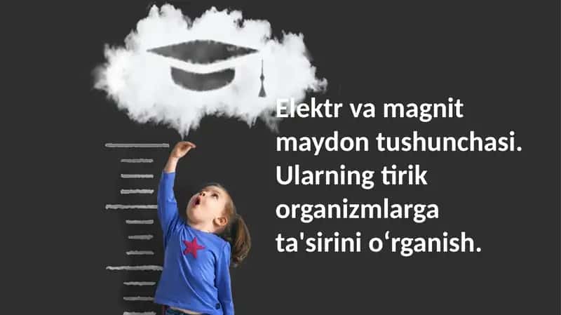 Elektromagnit Maydonlar